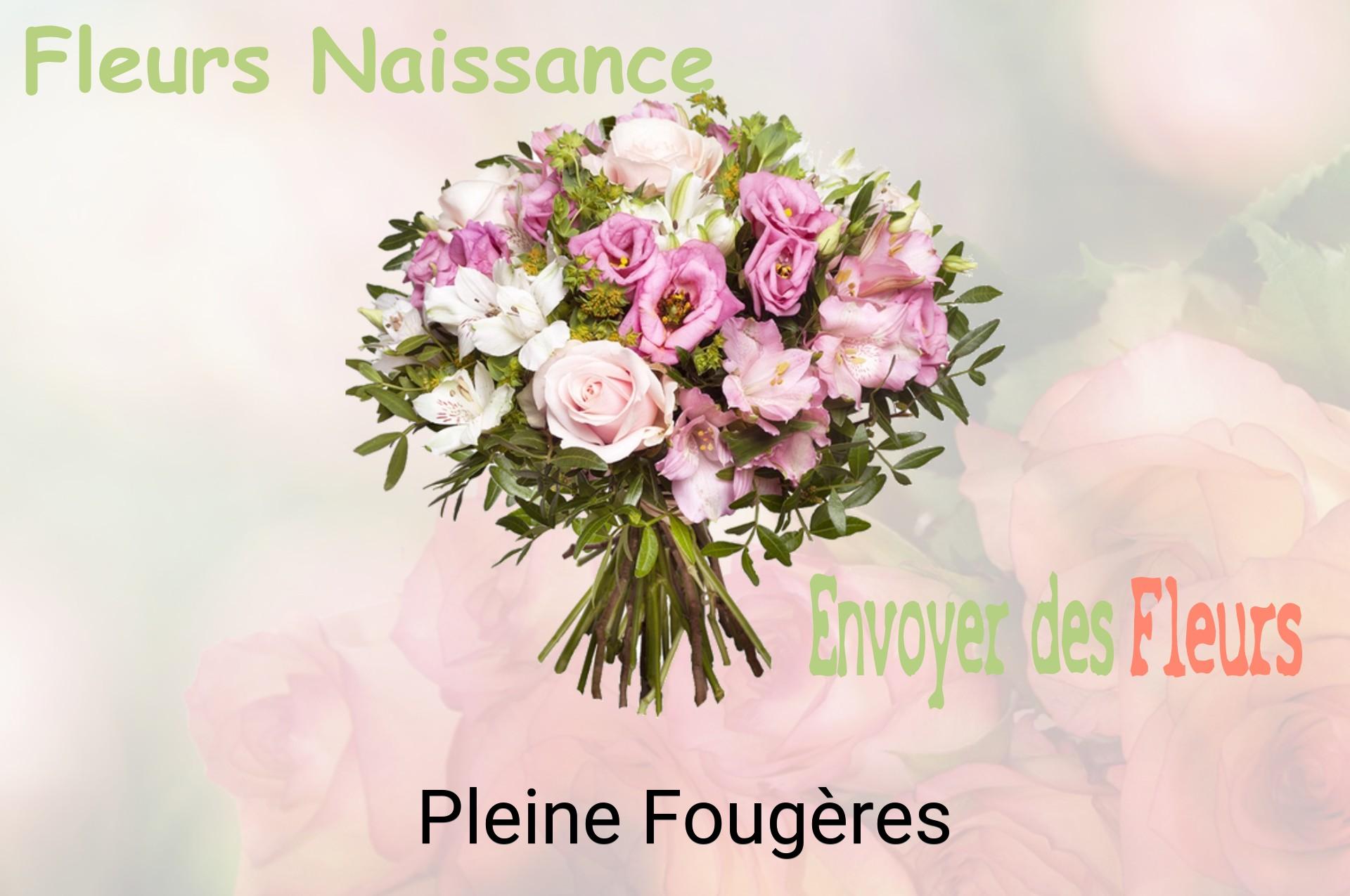 Bouquet de fleurs de naissance livré à Pleine-Fougères
