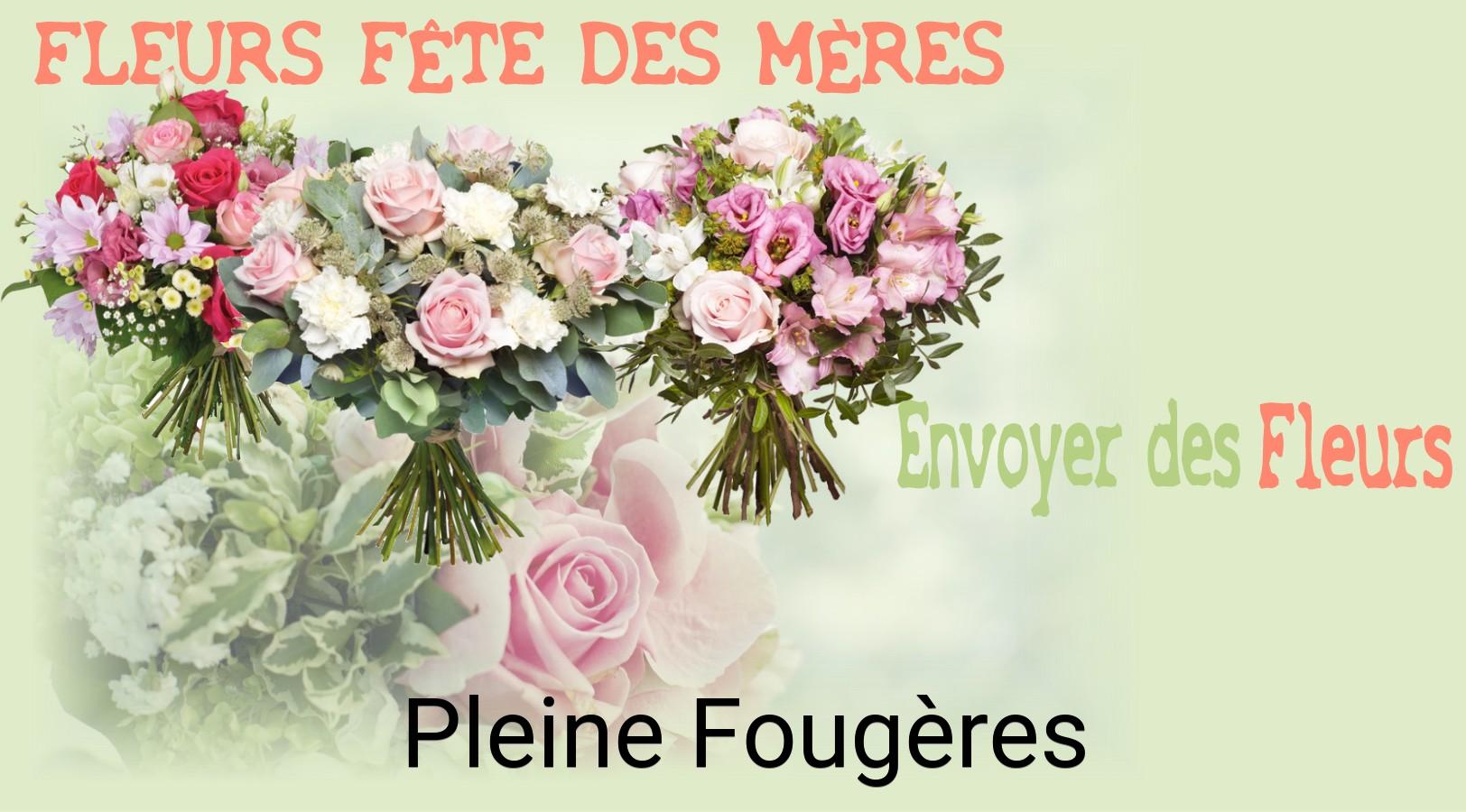 Bouquet de Fête des Mères livré à Pleine-Fougères